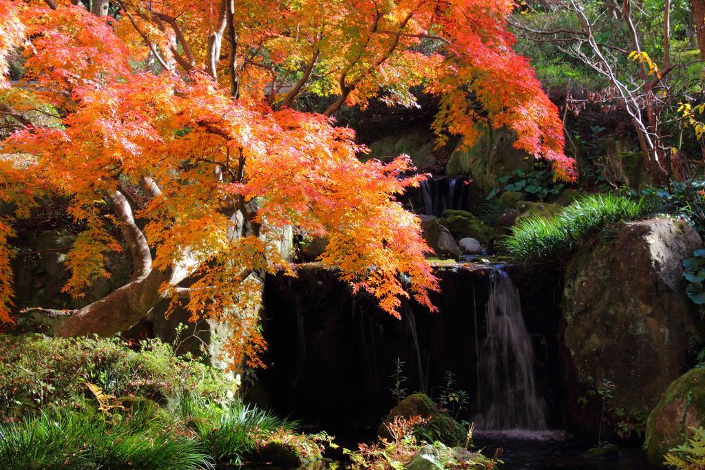 Hotel Mystays Premier Narita Luaran gambar